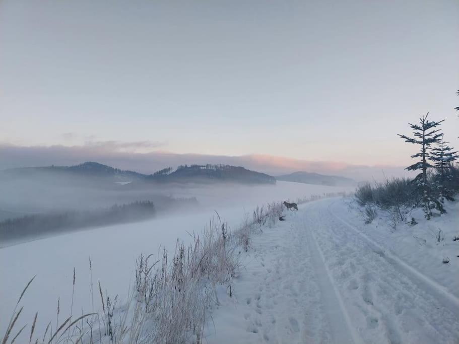 Haus Julia Direkt Am Hennesee Mitten Im Sauerland Meschede Luaran gambar
